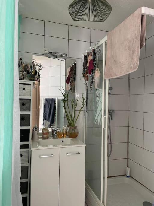 Petit Appartement Douillet Les Martres-de-Veyre Eksteriør bilde